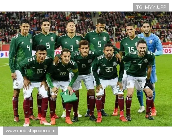 墨西哥国家队在世界杯历史上的连败场数分析与原因探讨